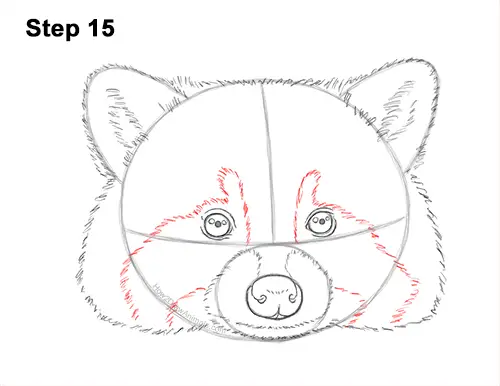 How to Draw a Raccoon Head Face Portrait 15