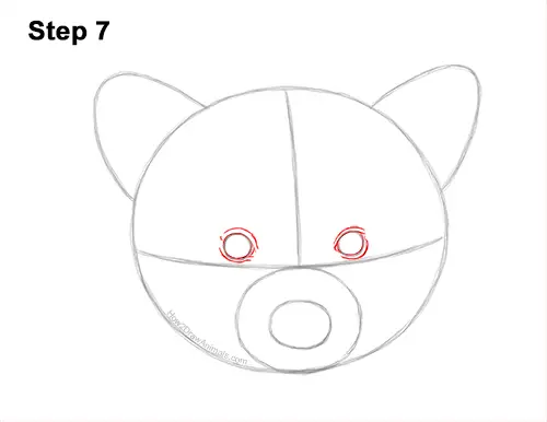 How to Draw a Raccoon Head Face Portrait 7