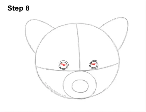 How to Draw a Raccoon Head Face Portrait 8