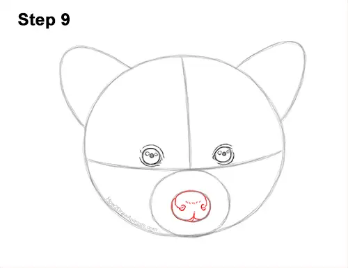 How to Draw a Raccoon Head Face Portrait 9