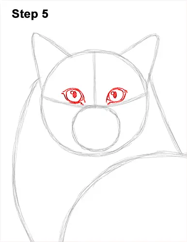 How to Draw a Ragdoll Cat Sitting 5