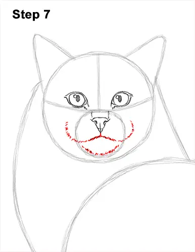 How to Draw a Ragdoll Cat Sitting 7