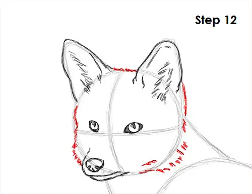 How to Draw a Fox (Red Fox)