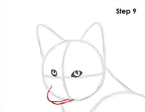 How to Draw a Fox (Red Fox)