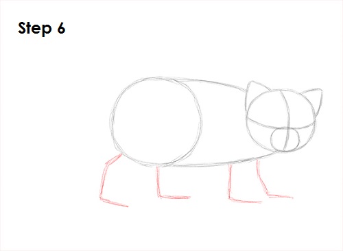 Draw Red Panda 6