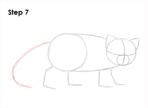 Draw Red Panda 7