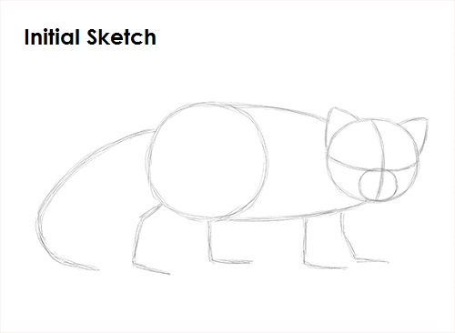 Draw Red Panda Sketch