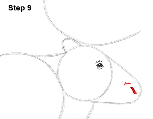 Draw Reindeer Caribou 9