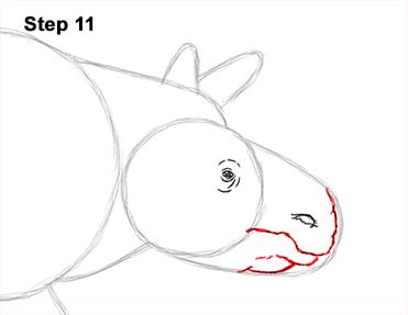 How to Draw a Rhinoceros (Indian) VIDEO & Step-by-Step Pictures