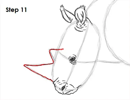 Draw Rhinoceros 11