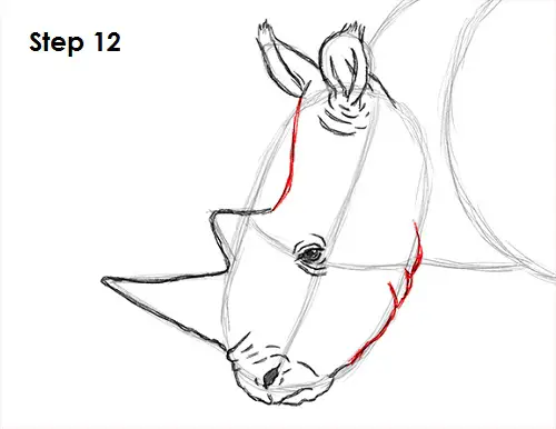 Draw Rhinoceros 12