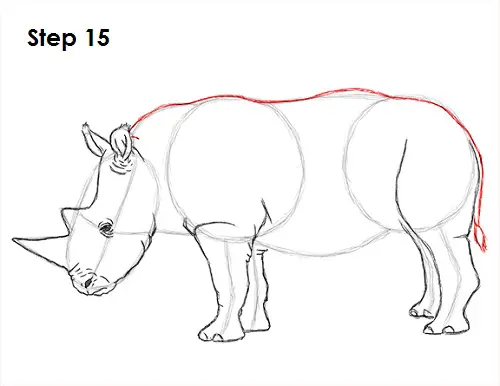 Draw Rhinoceros 15