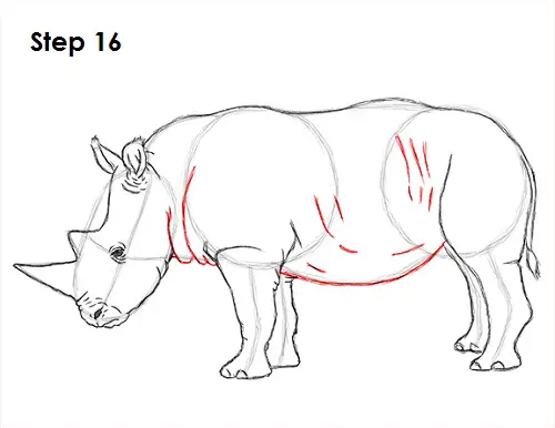 Draw Rhinoceros 16