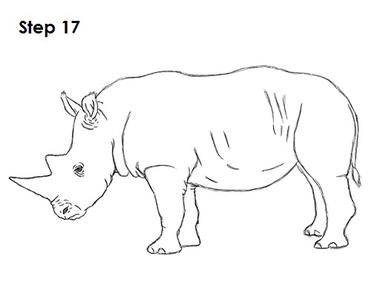 How to Draw a Rhinoceros VIDEO & Step-by-Step Pictures