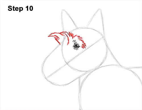 How to Draw a Scottish Terrier Puppy Dog Side 10