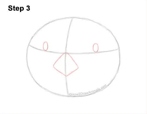 How to Draw a Sea Otter Head Portrait Face 3