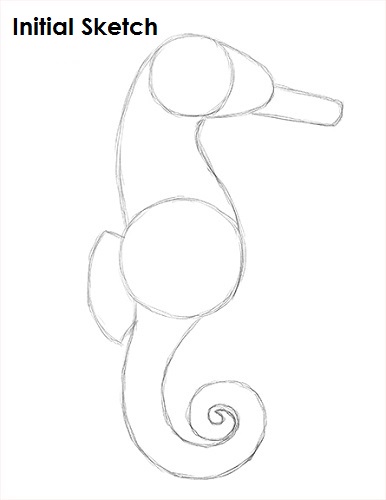 How to Draw a Seahorse