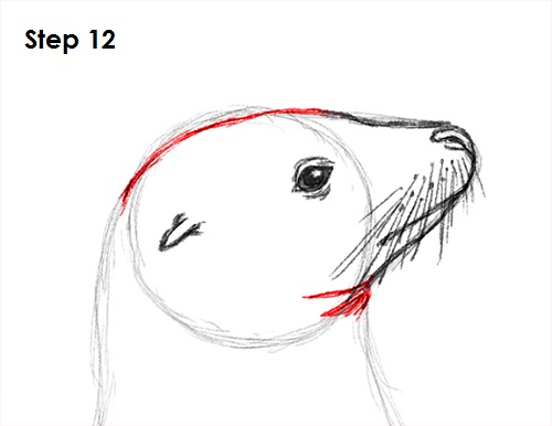 Draw Seal 12