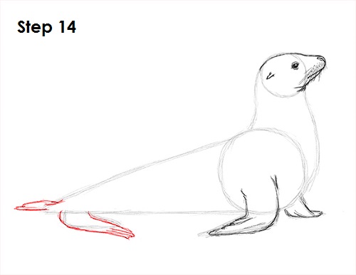 Draw Seal 14