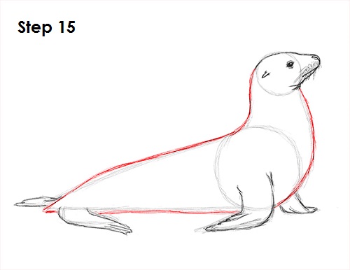 Draw Seal 15