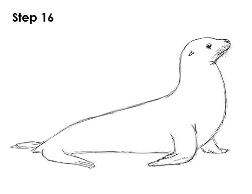 Draw Seal 16