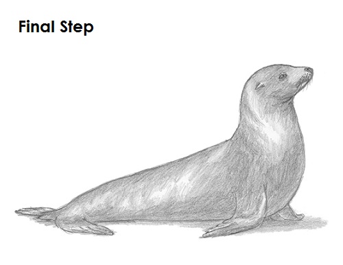 Draw Seal Last