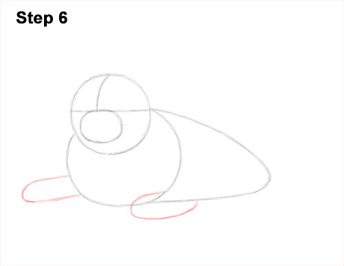 How to Draw a Fluffy Cute Baby Harp Seal Pup 6