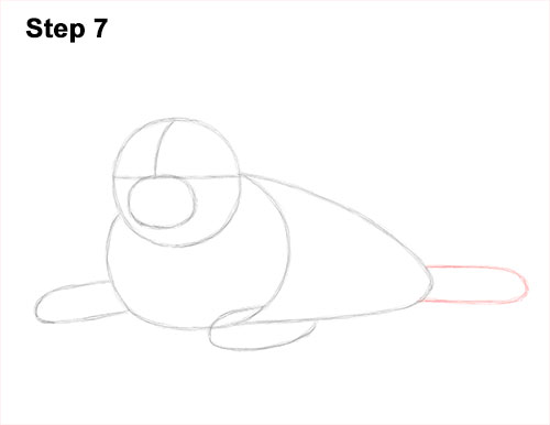 How to Draw a Fluffy Cute Baby Harp Seal Pup 7