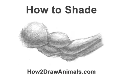 How to Shade Easy Simple Beginner Basic Art Fundamental