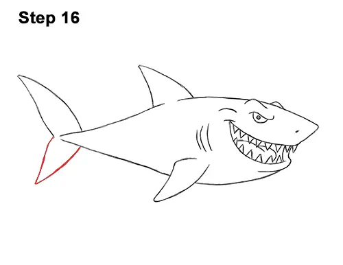 Draw Cartoon Great White Shark 16