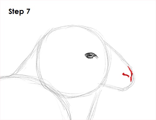 How to Draw a Sheep