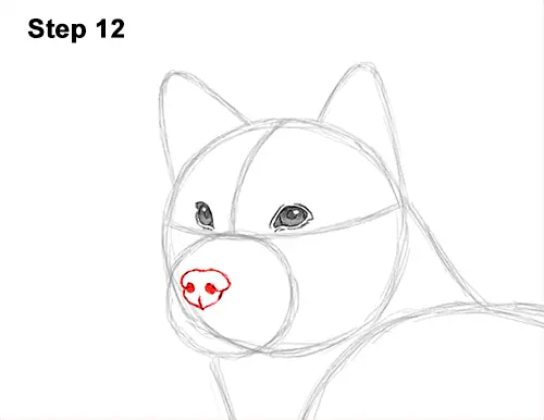 How to Draw a Dog (Shiba Inu) VIDEO & Step-by-Step Pictures