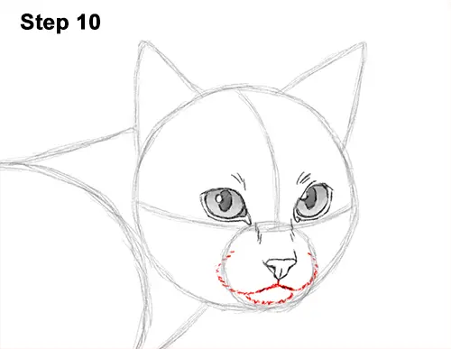 How to Draw a Siamese Cat