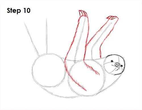 Draw Sloth 10