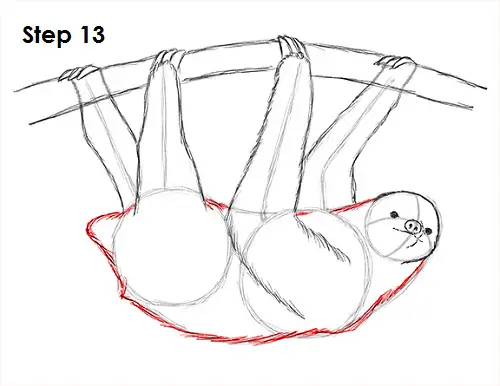 Draw Sloth 13