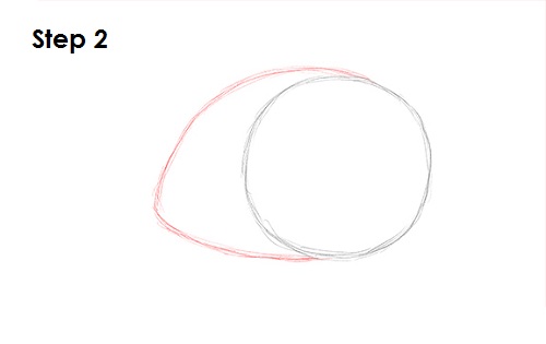 Draw Snail 2