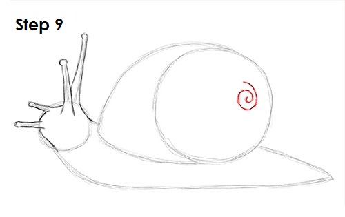 Draw Snail 9