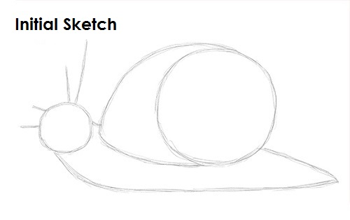 Draw Snail Sketch