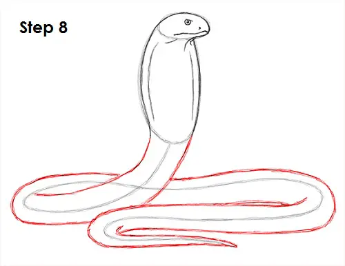 How To Draw A Snake King Cobra Video Step By Step Pictures 4524 | The ...