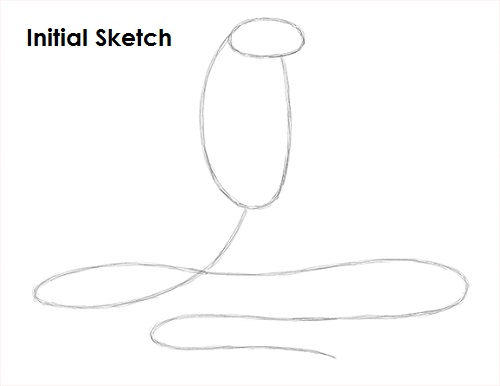 Draw King Cobra Snake Sketch