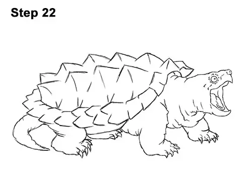 How to Draw Alligator Snapping Turtle Snapper 22