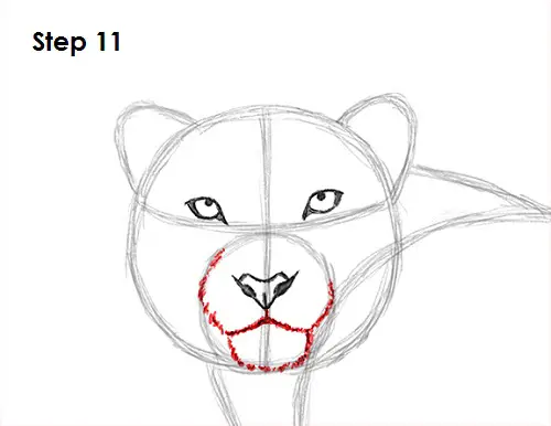 Draw Snow Leopard 11