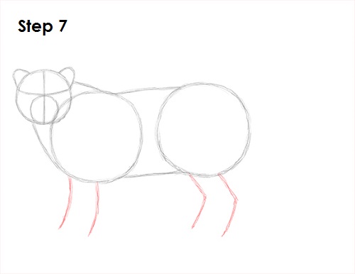 Draw Snow Leopard 7