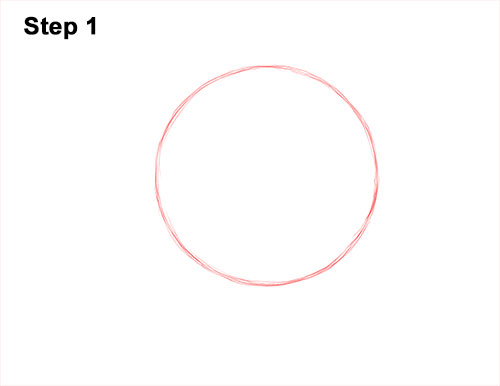 How to Draw a Snow Leopard Head Detail 1