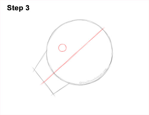 How to Draw a Snow Leopard Head Detail 3