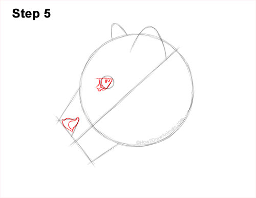 How to Draw a Snow Leopard Head Detail 5