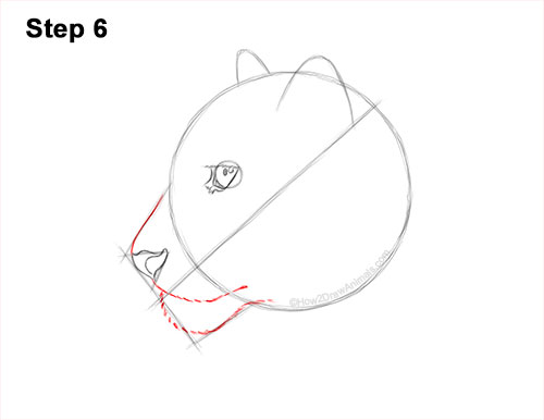 How to Draw a Snow Leopard Head Detail 6