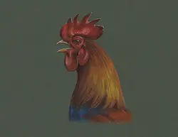 Rooster Crowing Special Portrait Drawing