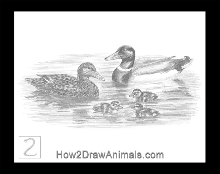 Special Duck Family Drawing