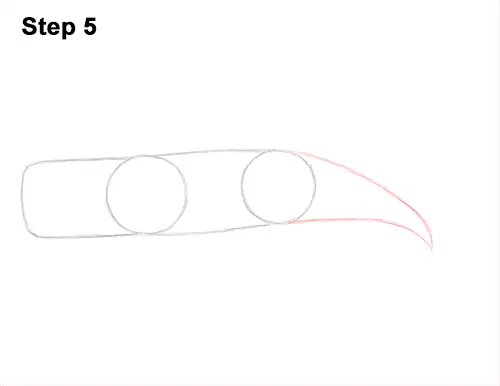 How to Draw a Sperm Whale Side 5